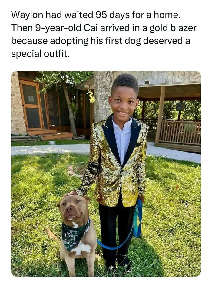 Young boy in a gold sequin blazer holding his adopted dog, a highlight from fascinating stories on the internet.