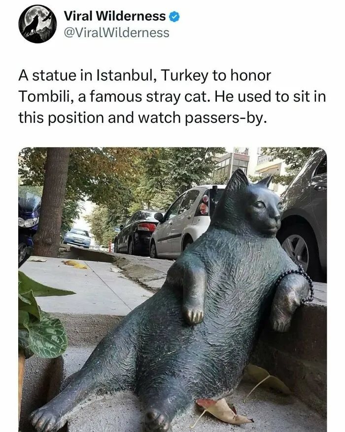 Statue of famous stray cat Tombili sitting in relaxed pose on Istanbul street