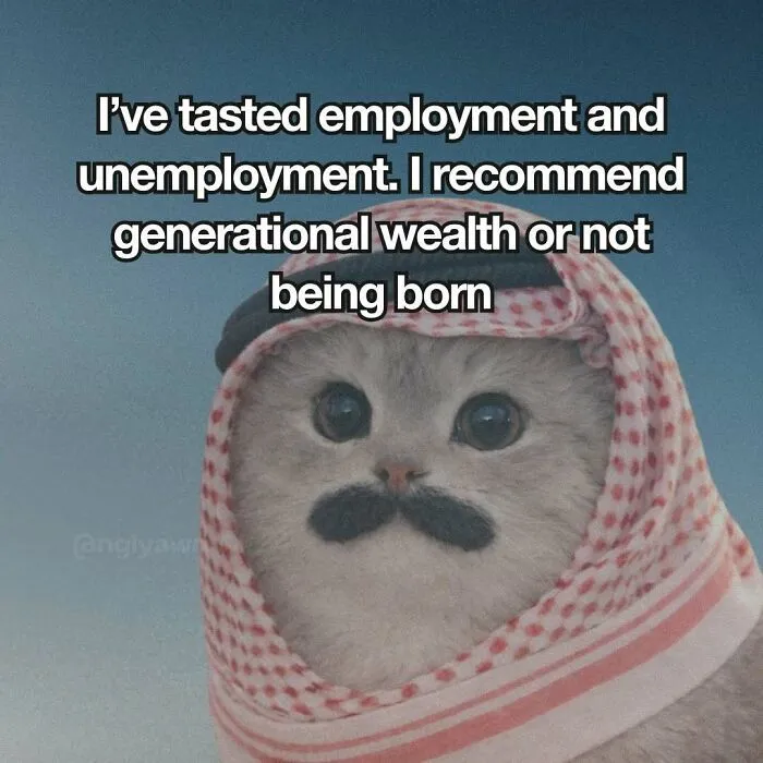 Cat with mustache and traditional headwear meme about employment and wealth