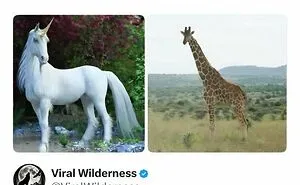 86 Fascinating Animal Moments That Show Just How Incredible Nature Can Be
