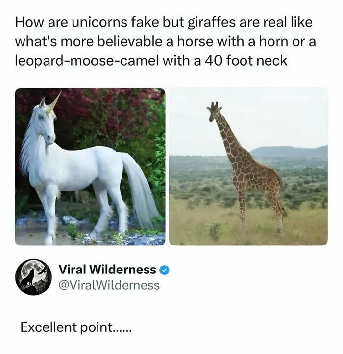 Wildlife-Nature-Animal-Facts