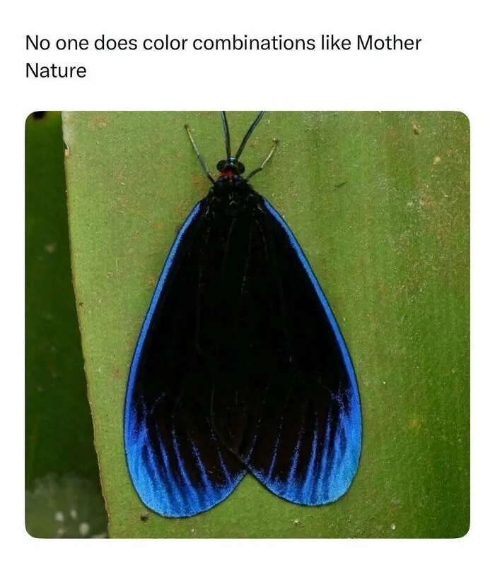 86 Fascinating Animal Moments That Show Just How Incredible Nature Can Be
