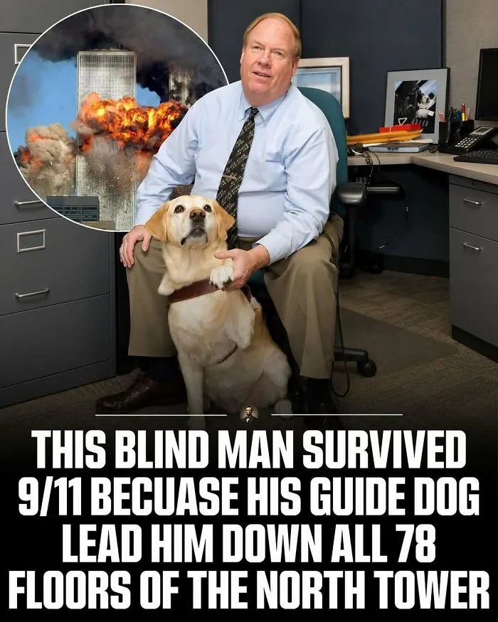 A blind man with his golden retriever guide dog, sharing powerful photos from history