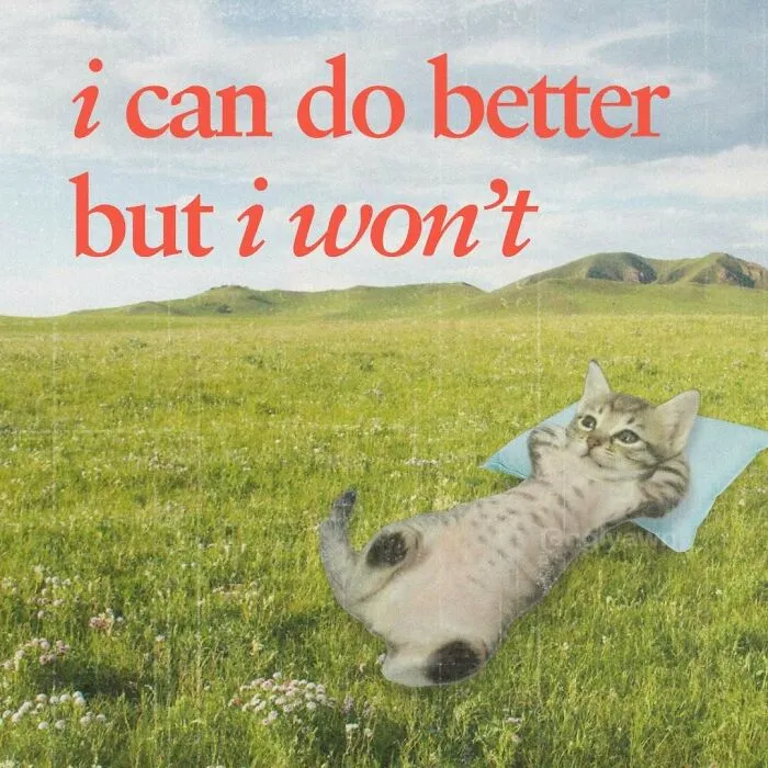 Cat meme stating I can do better but won’t