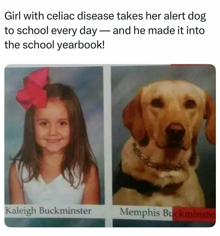 Yearbook photos of a little girl and her alert dog, among fascinating stories from the internet.