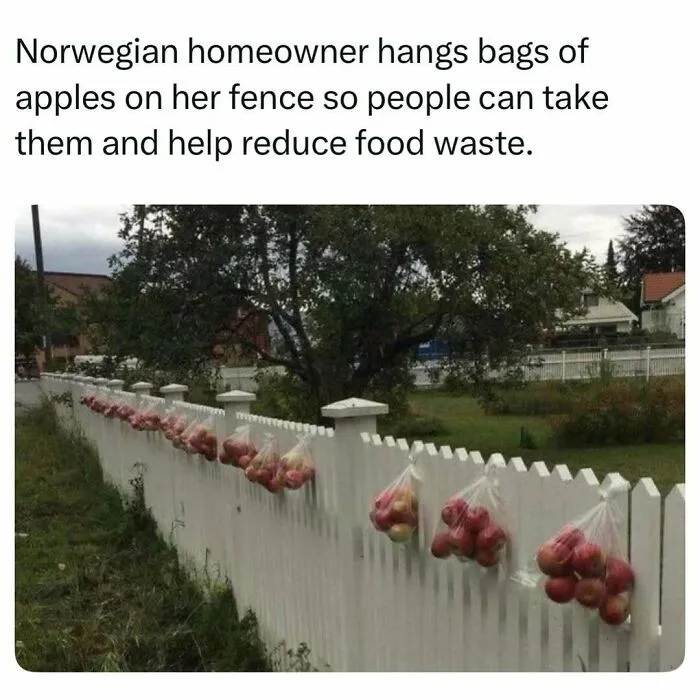 Plastic bags of apples hanging on a white fence to share food, showing fascinating stories.
