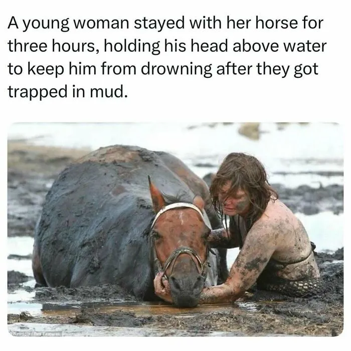 Woman holding her horse head above water in mud, a fascinating story from the internet