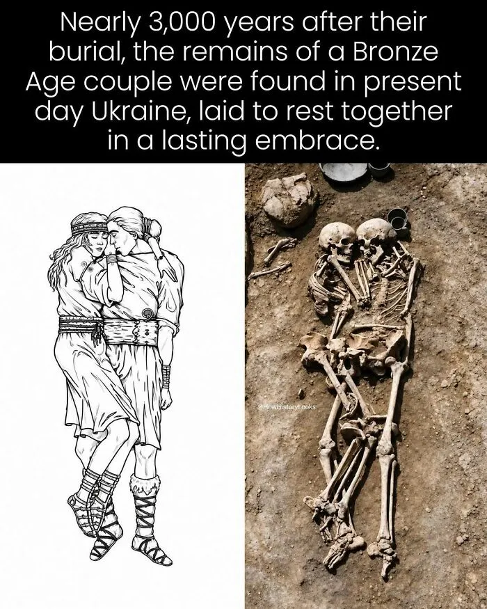 Skeletons of Bronze Age couple from history found in Ukraine