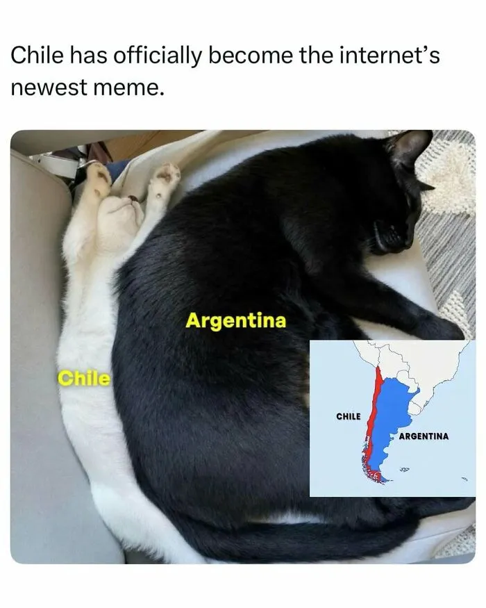 A black cat and a thin white cat sleeping side-by-side, mimicking a map of South America, a random find online.