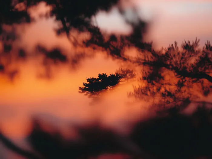 28 Ethereal Images By Lela Amparo That Turn Real Landscapes Into Immersive Art