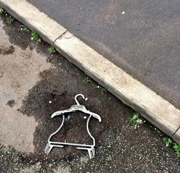 Just Found A Penguin Skeleton In The Road. Rip Little Fella