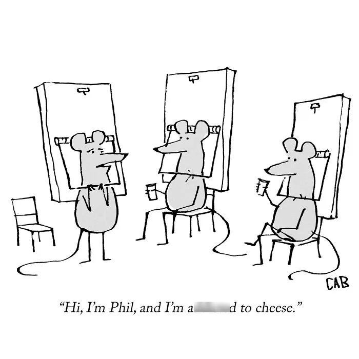 If You Like An Absurd Sense Of Humor, You Might Like These 72 Cartoons By Mat Barton (New Pics)