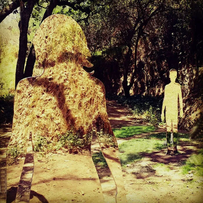 Reflective sculptures blending with forest trail and sunlight creating camouflage effect