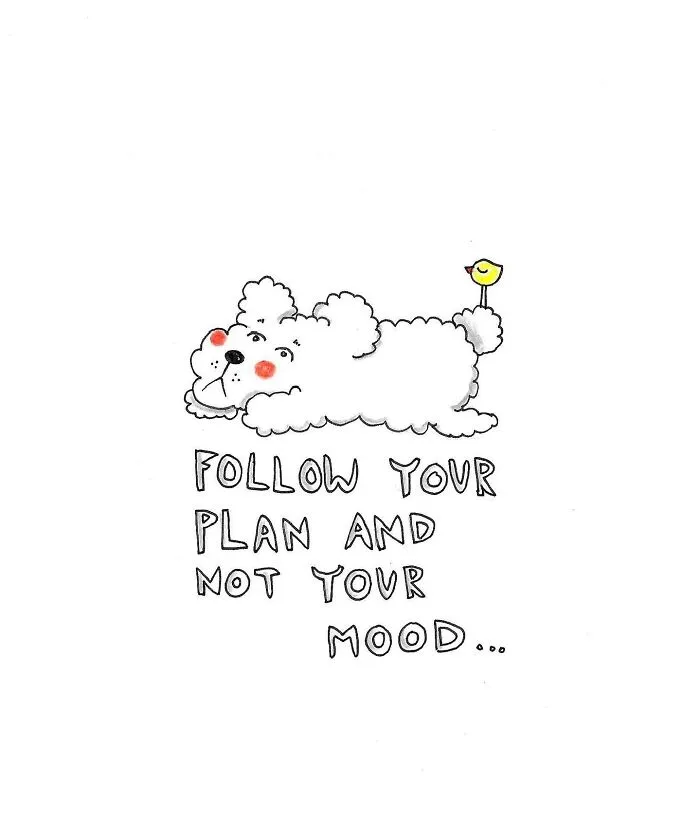Follow Your Plan