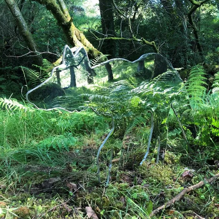 Reflective sculpture of a wolf blending into lush forest floor