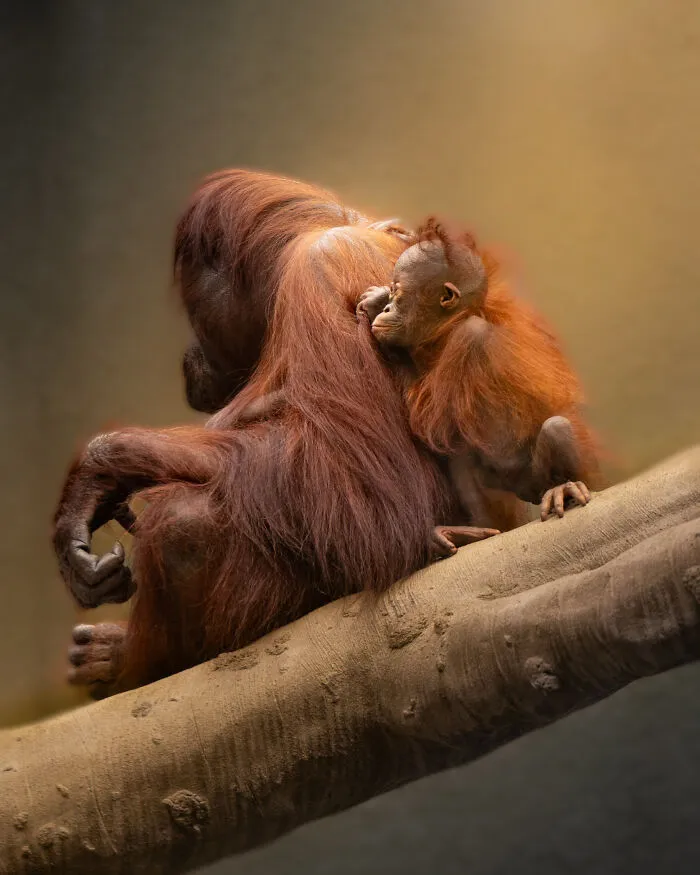 “Holding On” By Harrison Wright