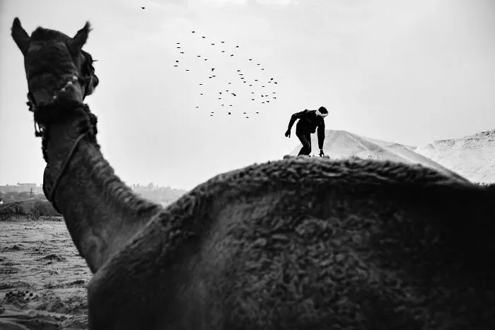 Unfiltered Moments Of Life Captured At Just The Right Moment By This Street Photographer  (66 Pics)