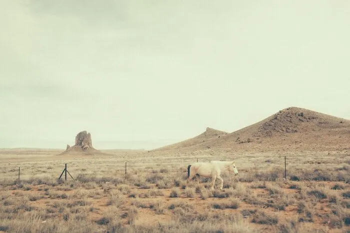 Hélène Havard Photographs Of The American West Capture Both The Memory And Reality Of The Space (29 Pics)