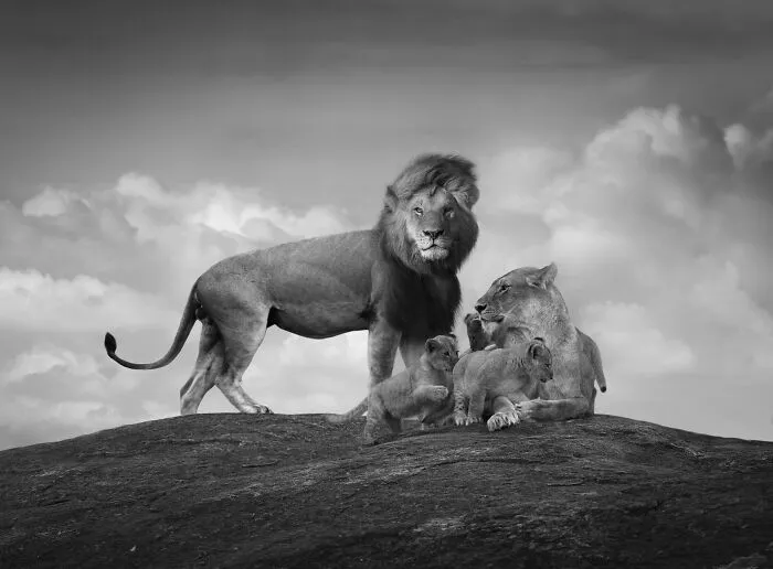 Living Souls