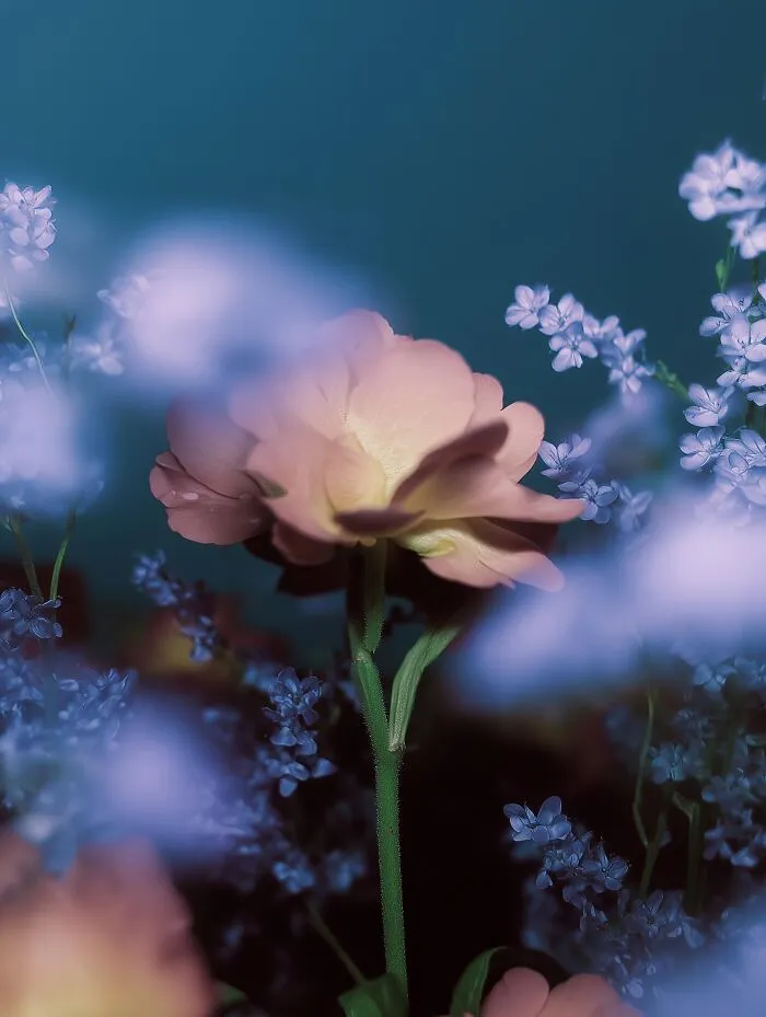 28 Ethereal Images By Lela Amparo That Turn Real Landscapes Into Immersive Art