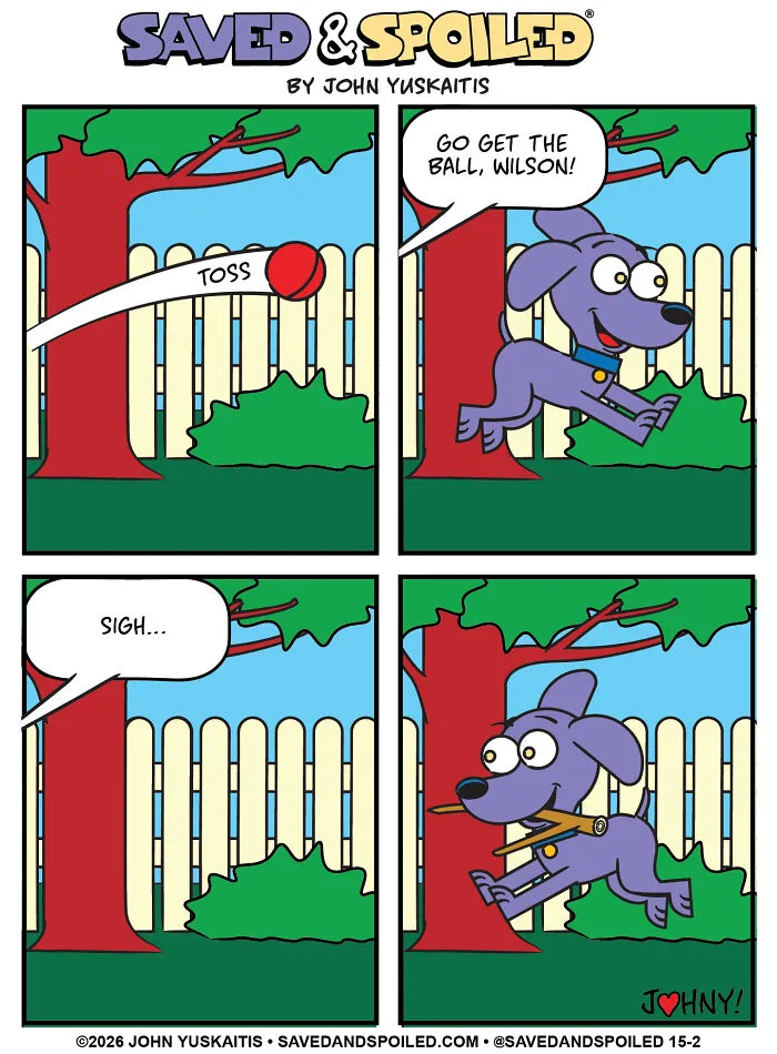Dog chases ball in yard in comics about dog and cat differences