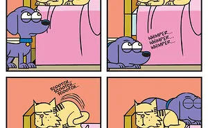 I Illustrate The Hilarious Reality Of A Rescue Dog And A Cat Living Together (25 New Comics)