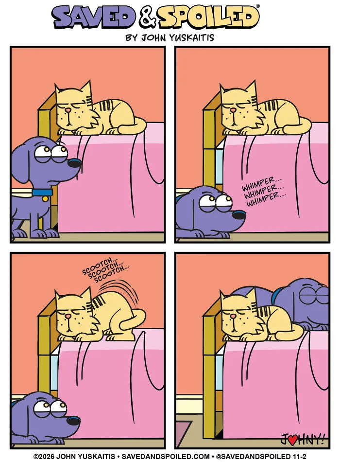 Cat scootching on bed with dog watching in dog and cat comics