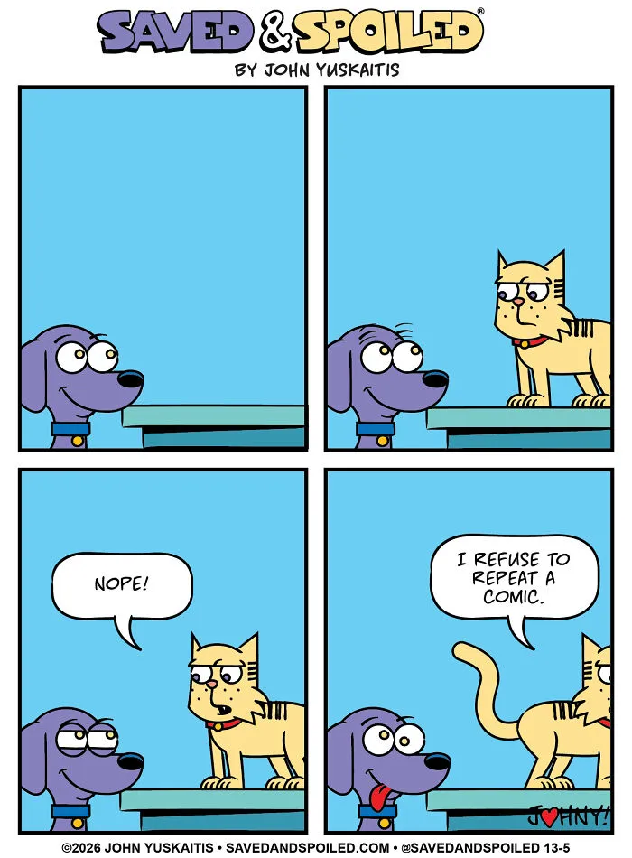 Dog insists cat refuses to repeat a comic strip in playful interaction