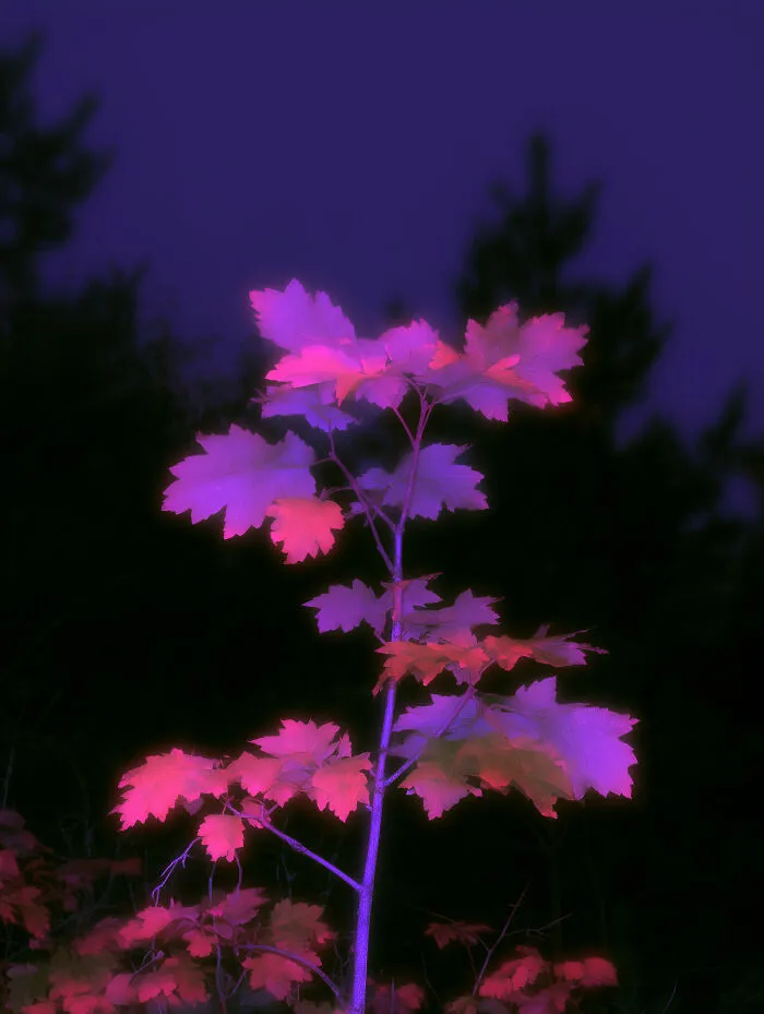 28 Ethereal Images By Lela Amparo That Turn Real Landscapes Into Immersive Art
