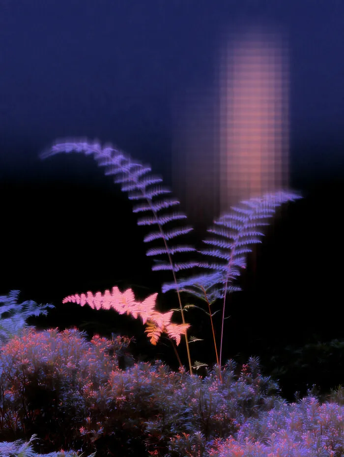 28 Ethereal Images By Lela Amparo That Turn Real Landscapes Into Immersive Art