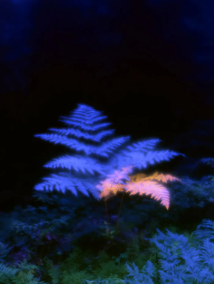 28 Ethereal Images By Lela Amparo That Turn Real Landscapes Into Immersive Art