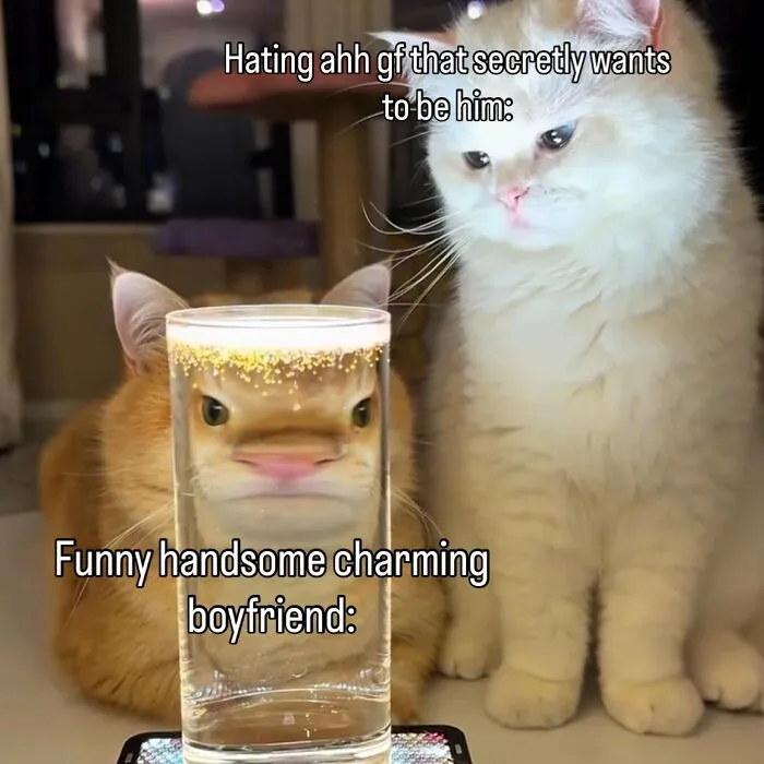 “Of Course Cats”: 70 Hilarious Memes For Every Mood