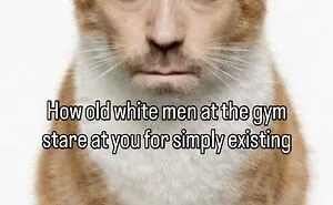 70 Funny Posts From The “Of Course Cats” Page