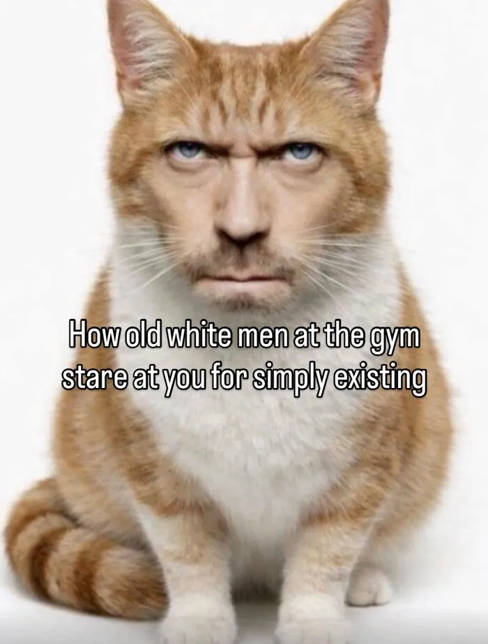 This Cat Meme Page Turns Everyday Chaos Into Feline Comedy, And Here Are Some Of Its Funniest Posts (50 Pics)