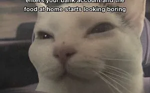 70 Funny Posts From The “Of Course Cats” Page