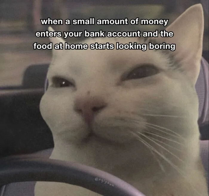 “Of Course Cats”: 70 Hilarious Memes For Every Mood