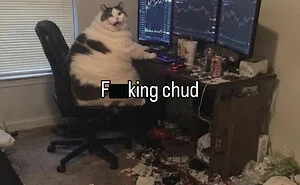 70 Funny Posts From The “Of Course Cats” Page