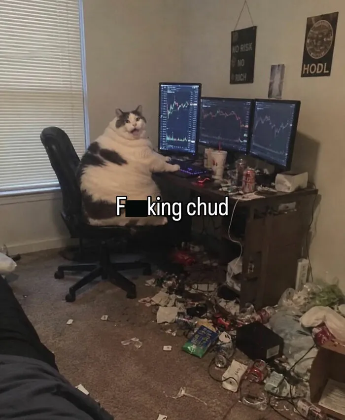 This Cat Meme Page Turns Everyday Chaos Into Feline Comedy, And Here Are Some Of Its Funniest Posts (50 Pics)