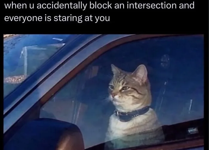 This Cat Meme Page Turns Everyday Chaos Into Feline Comedy, And Here Are Some Of Its Funniest Posts (50 Pics)
