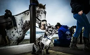 100 Street Photos That Caught Ordinary Moments At Just The Right Time