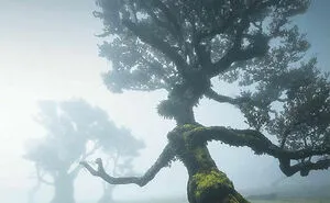106 Incredibly Cool Photos Of Nature That People Couldn’t Stop Staring At (New Pics)