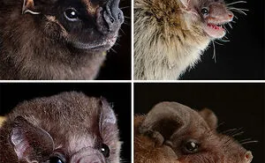 106 Incredibly Cool Photos Of Nature That People Couldn’t Stop Staring At (New Pics)