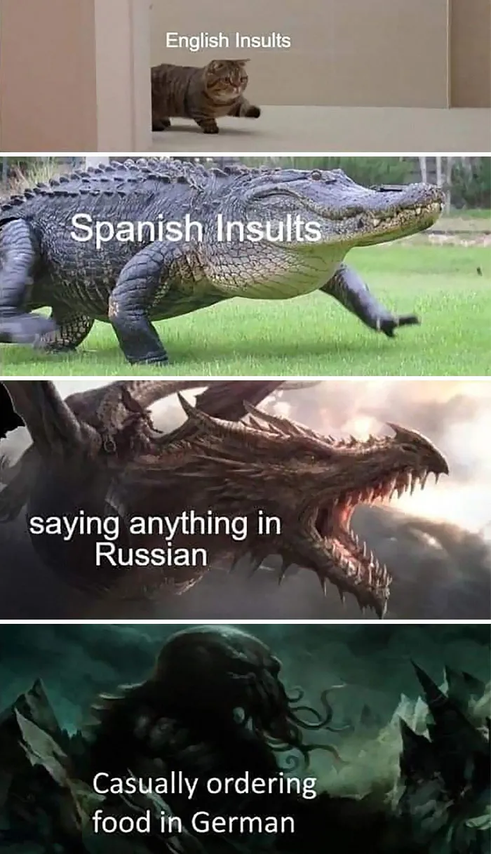 Meme depicting escalation of insults in English, Spanish, Russian, and German