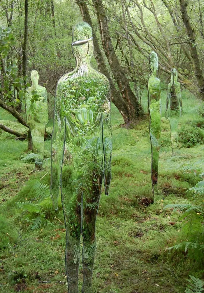 Transparent reflective sculptures blending with forest greenery and trees