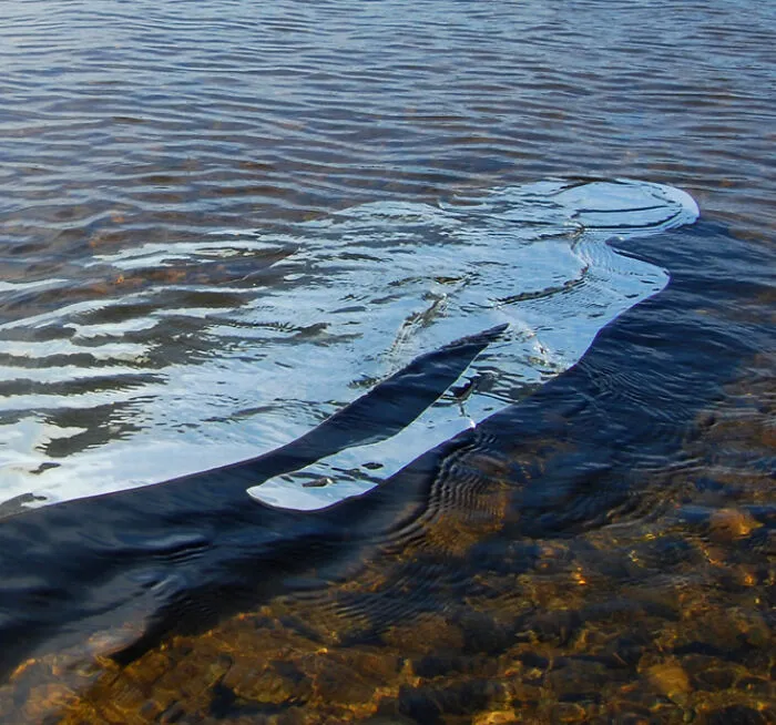 Reflective human-shaped metal sculpture partially submerged in clear river water