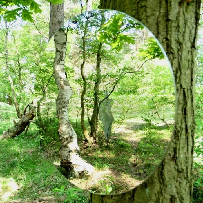 Round mirror sculpture reflecting green forest and tree trunks in a woodland area