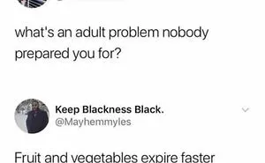 74 Hilariously Relatable Memes For Adults Who Still Don’t Know What They’re Doing