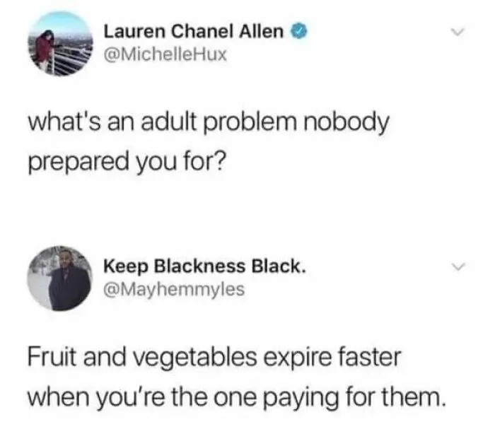Relatable-Adulting-Responsibility-Memes