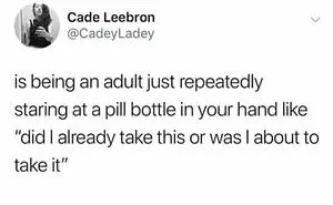 74 Hilariously Relatable Memes For Adults Who Still Don’t Know What They’re Doing