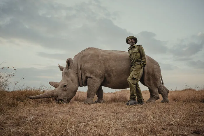 18 Powerful Photos By Mital Patel Showcasing The Last 2 Northern White Rhinos And Their Dedicated Caretakers